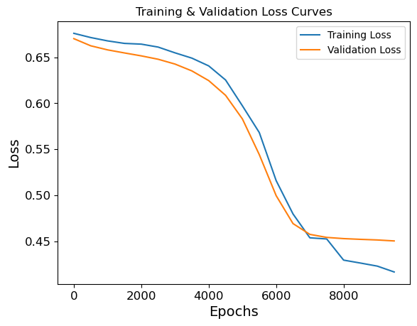 loss curves